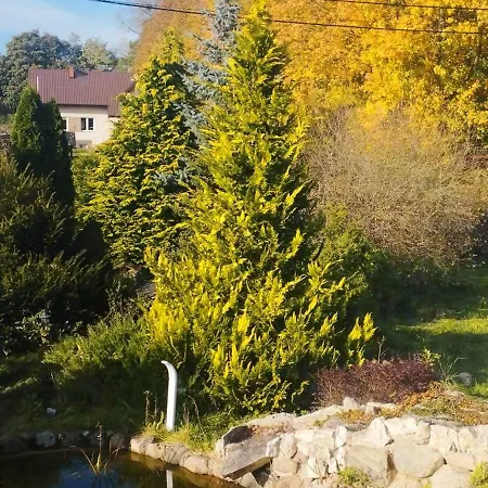 Bocian&kot Blotnica (Kolobrzeg)